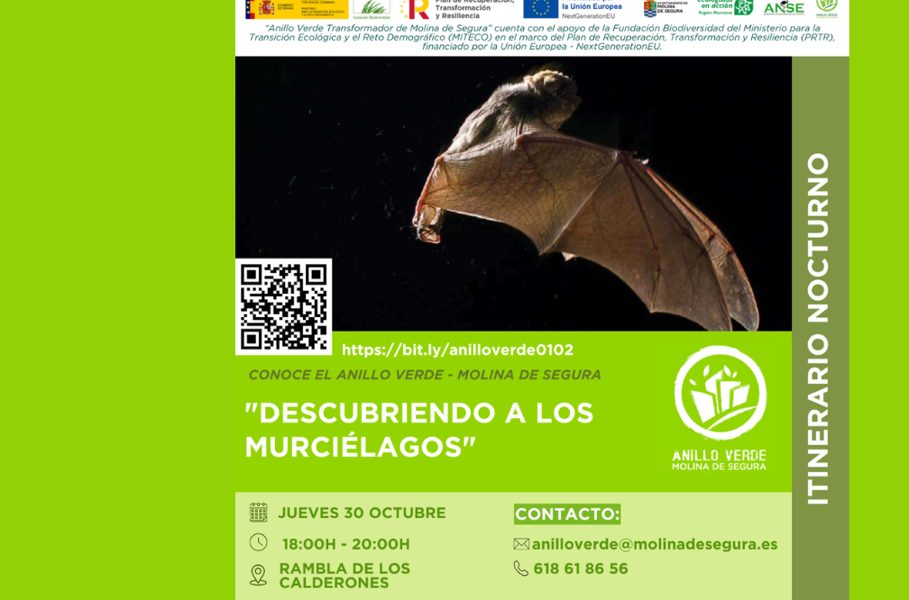 Descubriendo a los murcielagos