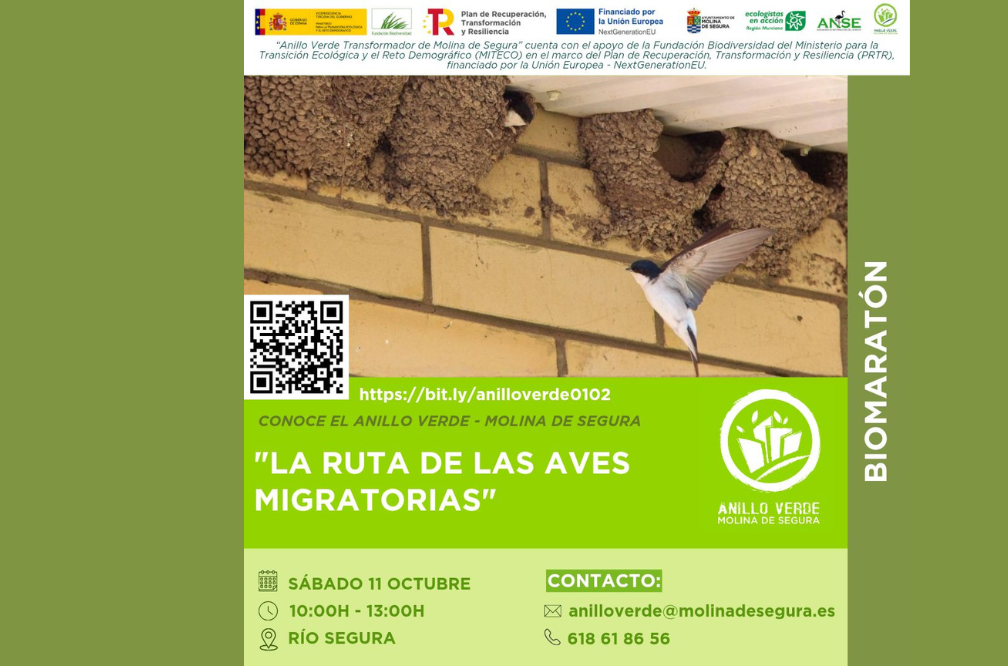 Ruta de las aves migratorias