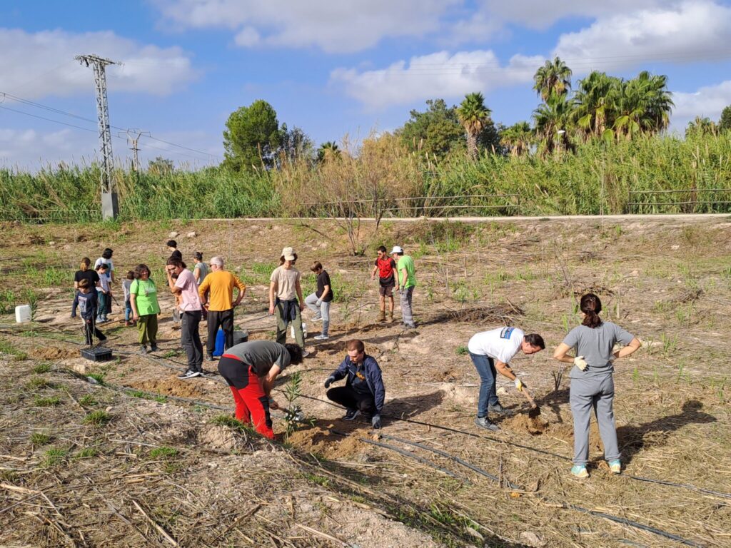 Medio Ambiente Molina Proyecto 'ANILLO VERDE' Balance acciones comunicación 2024 Foto1
