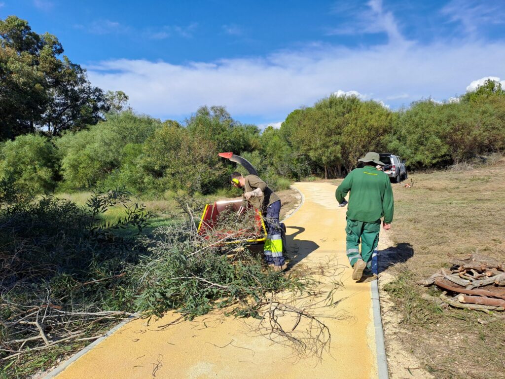 M. Ambiente Proyecto 'ANILLO VERDE' Balance Brigada Ecológica mayo dic25 Trabajos brigada Foto3