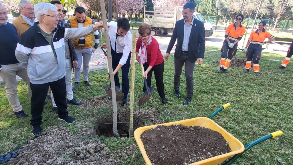 Vía Pública Molina Plantación arbolado en Parque de la Compañía Foto1